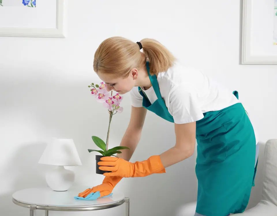 Cleaner with gloves wiping under a plant using a microfiber cloth.