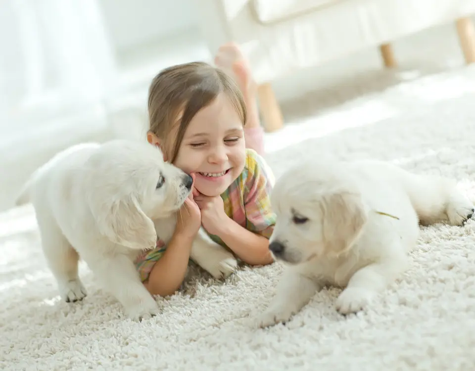 Smiling toddler playing with puppies in a clean and safe home environment.