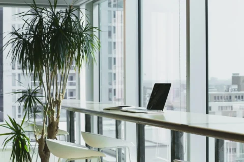 A modern, clean office space with green plants and white desks.